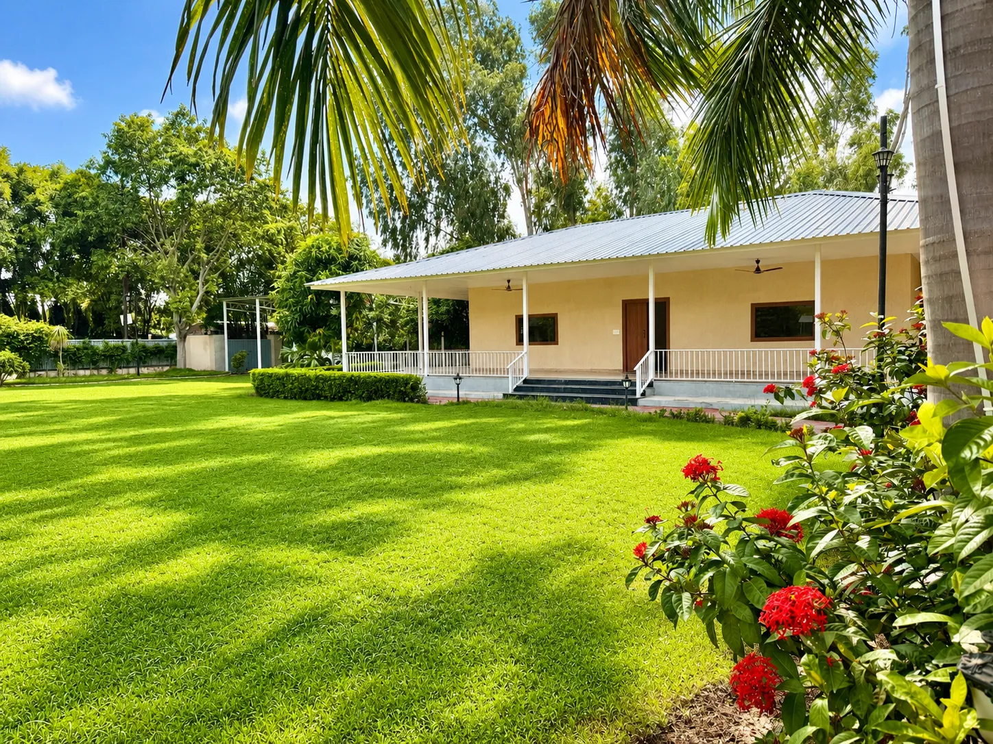 The full width of the open lawn at Mulberry Farm, Noida, lined with royal palms