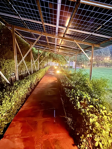 Lawn and covered veranda at Mulberry Farm farmhouse, Sector 135 Noida