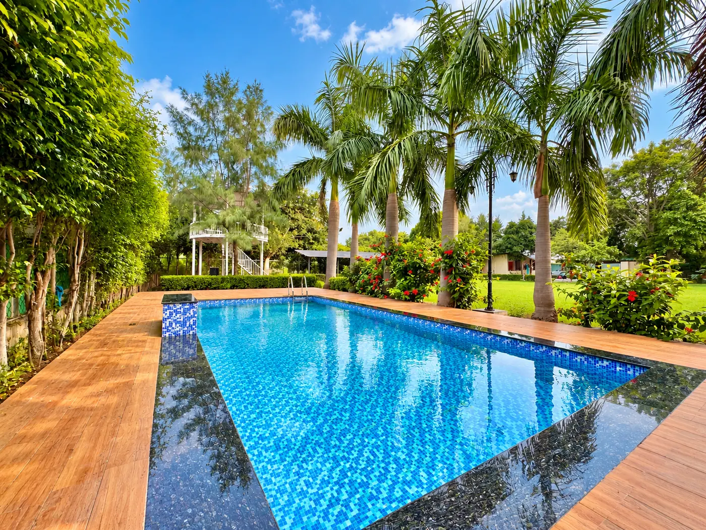 Private swimming pool with wooden deck and royal palms at Mulberry Farm, Noida