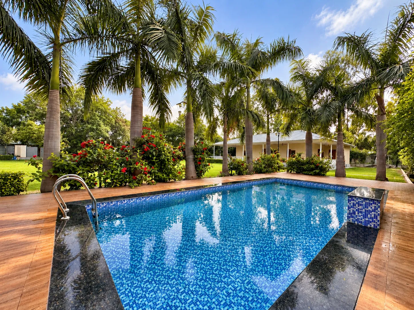 The pool deck and loungers at Mulberry Farm, shaded by palms